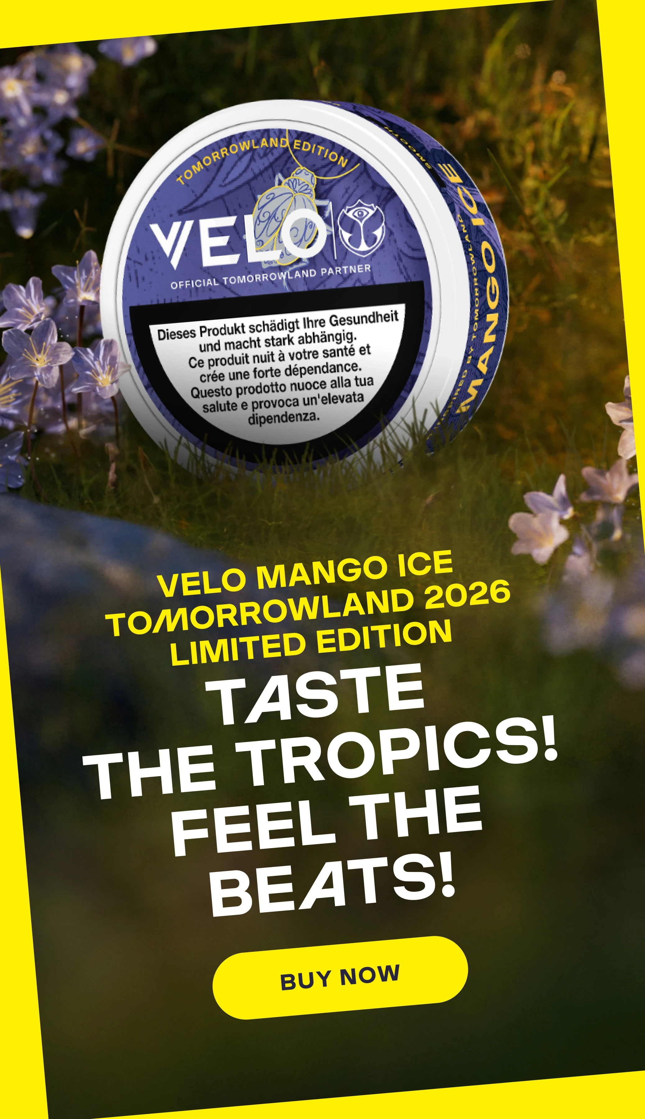 VELO Mango Ice Tomorrowland 2026 Limited Edition - Taste the tropics! Feel the beats!