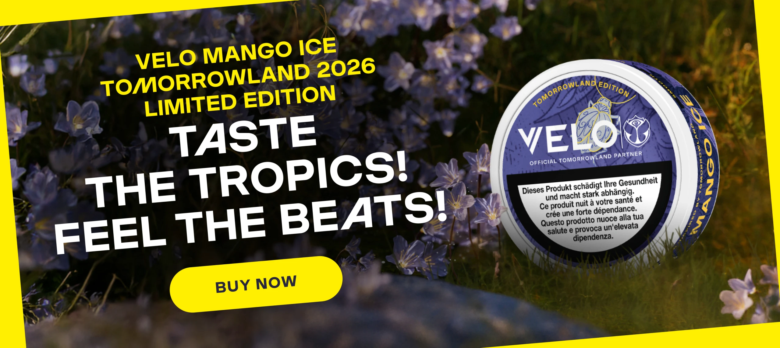 VELO Mango Ice Tomorrowland 2026 Limited Edition - Taste the tropics! Feel the beats!