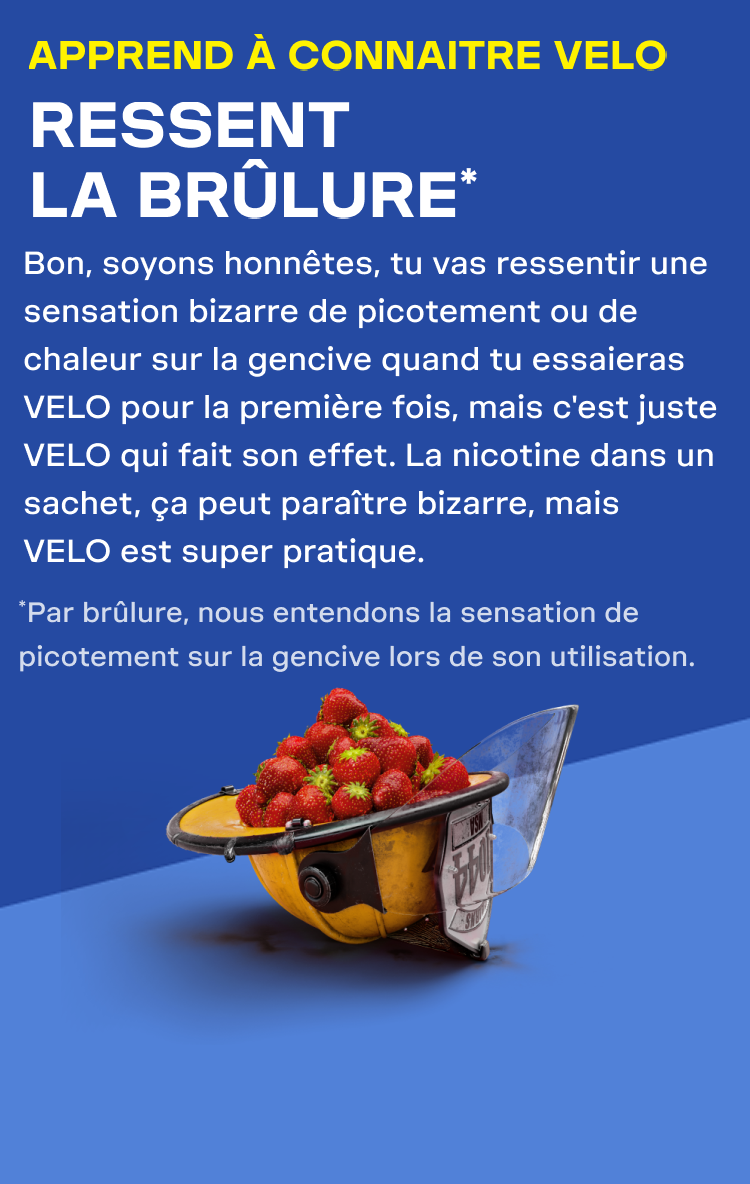 about-velo-banner