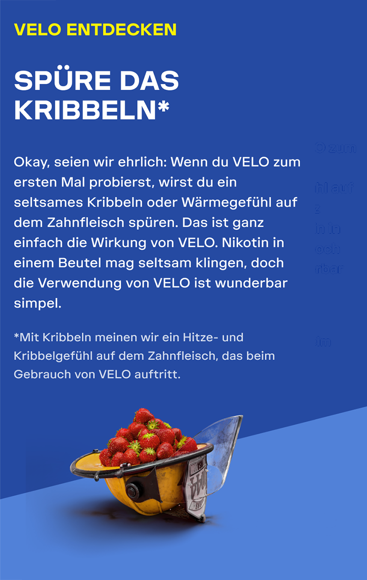 about-velo-banner