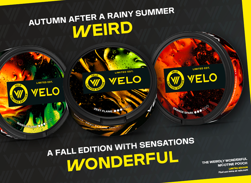 The New Limited Edition : Autumn Sensations