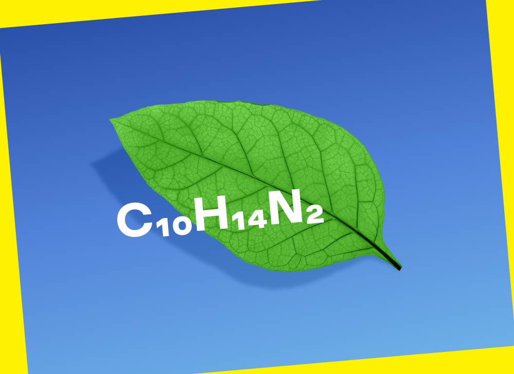 Qu'est-ce que la nicotine ?