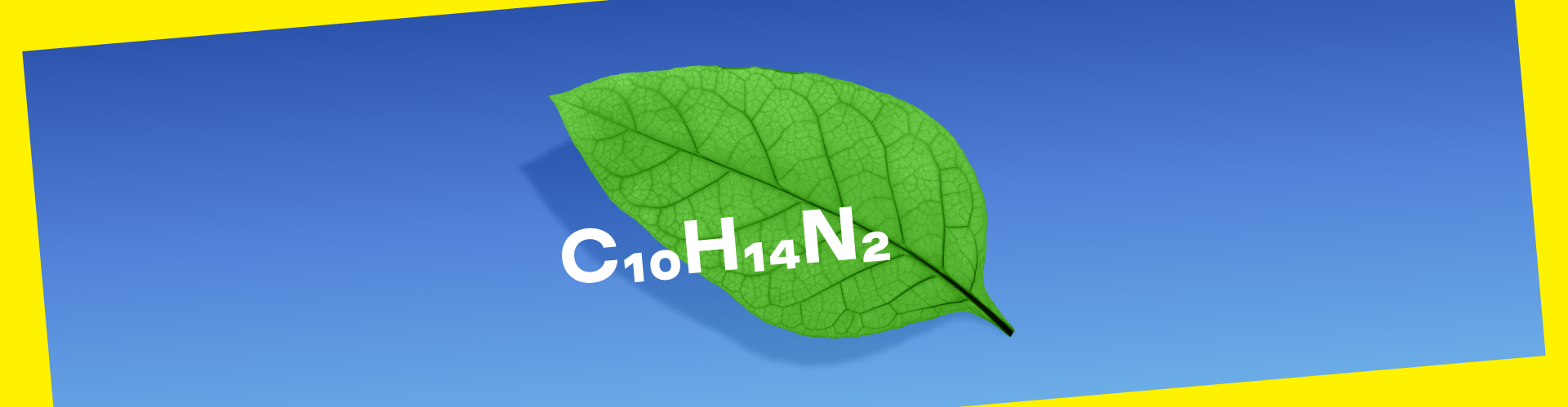 What is nicotine?