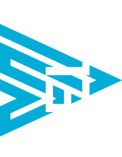 Logo Velo weiß