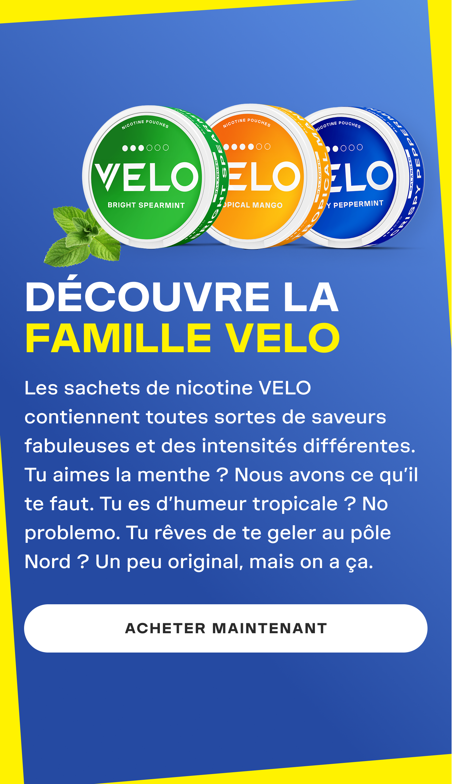Velo Labs - Discover the new Limited Edition 