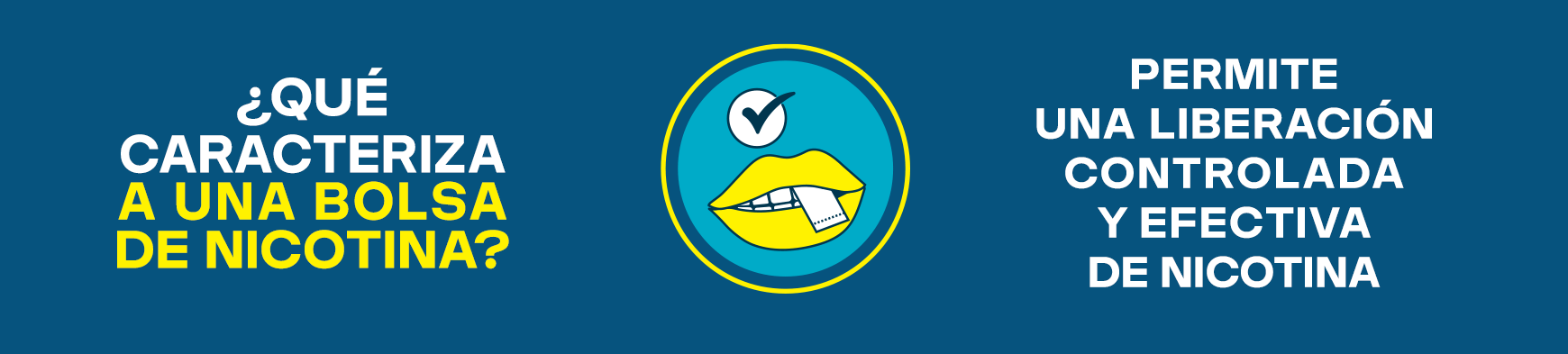 caracteristicas velo bolsa nicotina 3