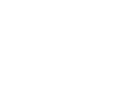 Velo Logo