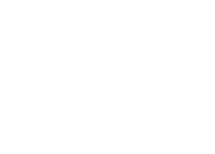 Velo Logo