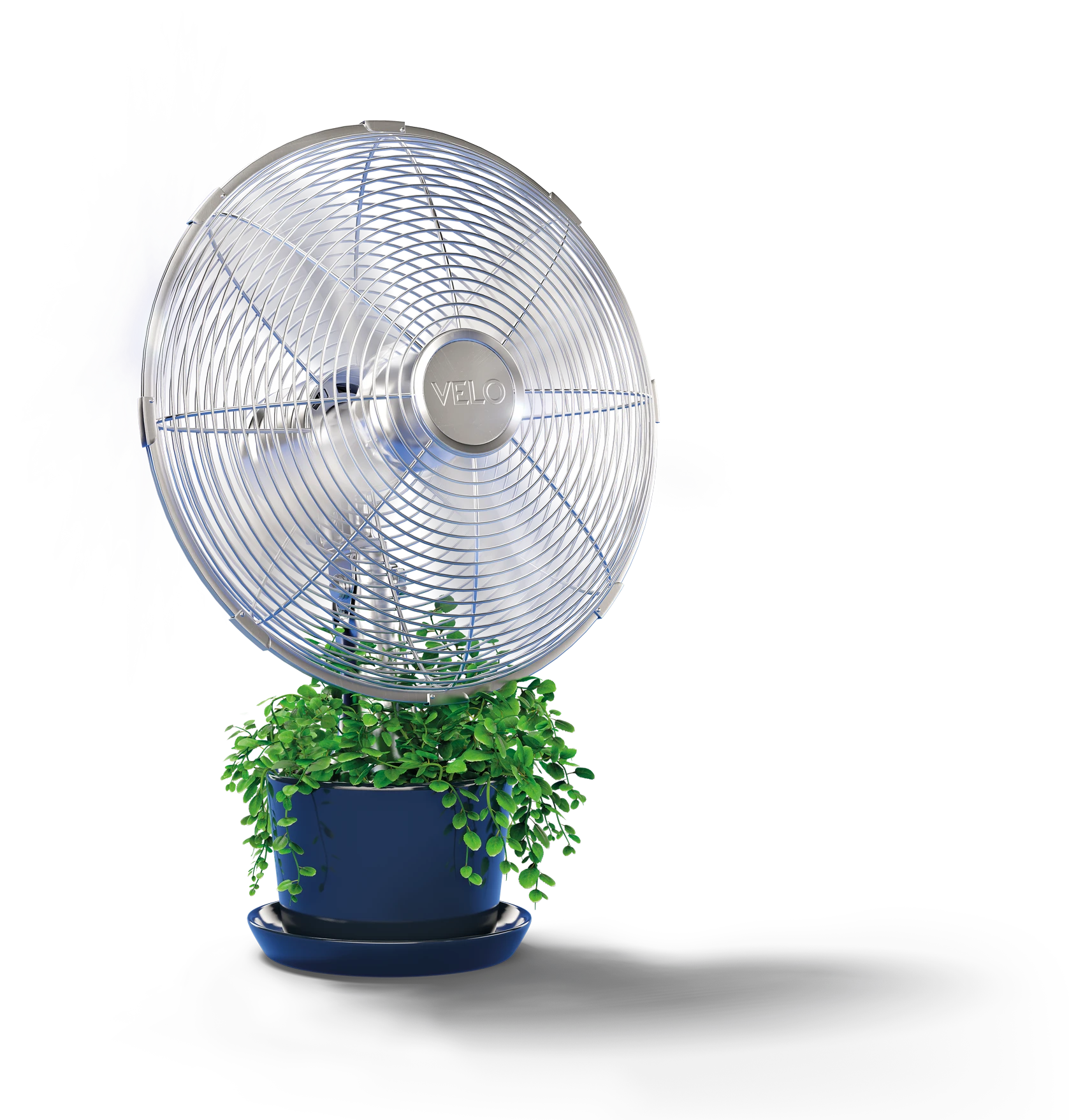 BAT_VELO_WWangle_DesignSystem_Templates_1080x1080_RGB