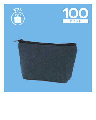 100pt_pouch
