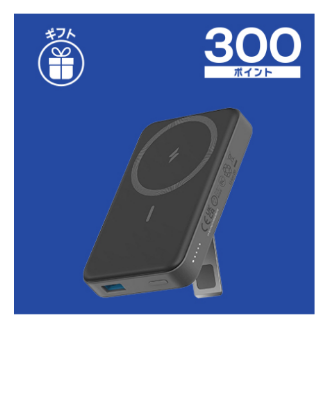300pt-Anker