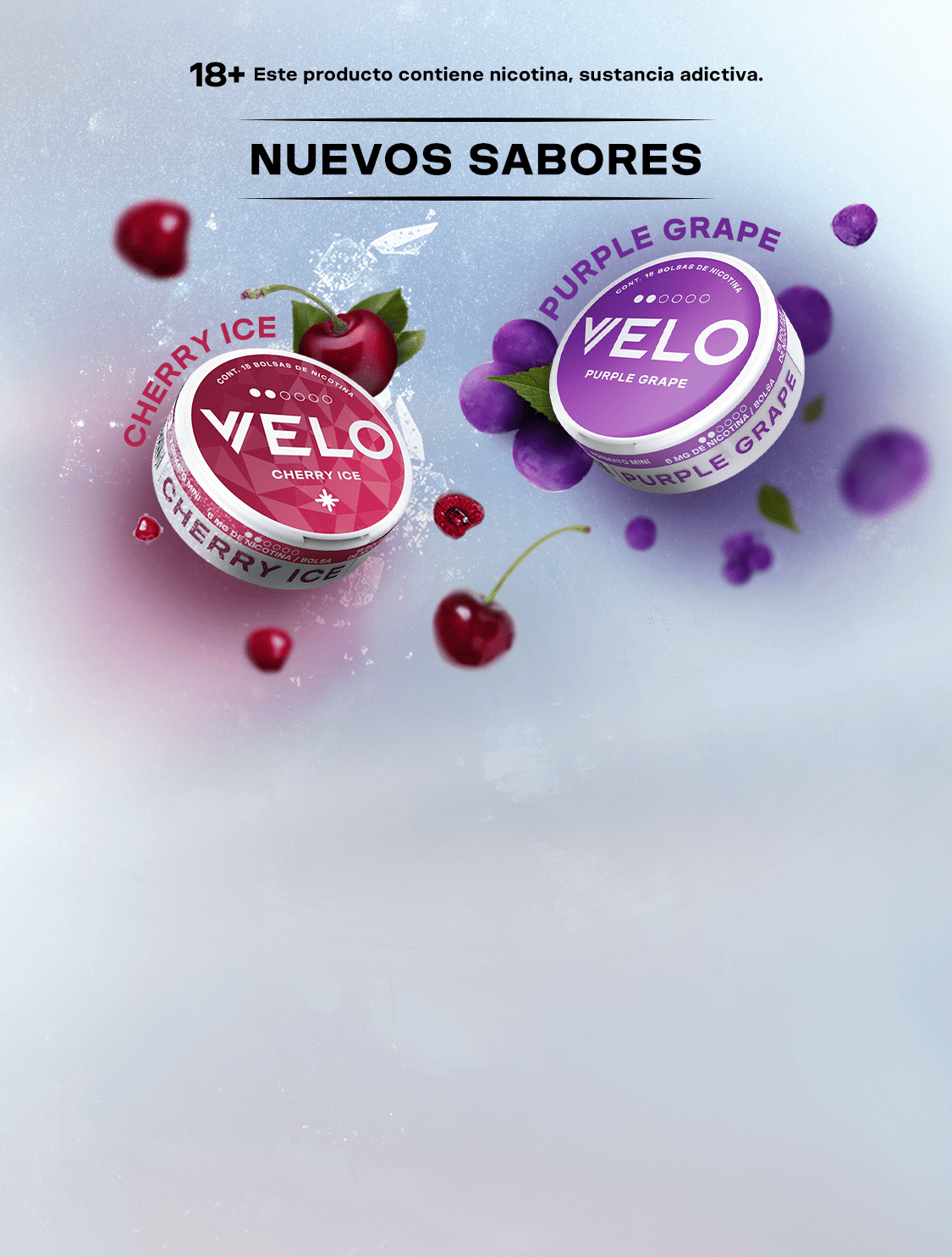 descubre-nuevos-sabores