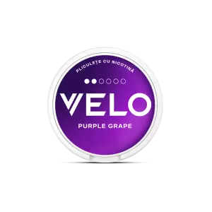 Purple Front 