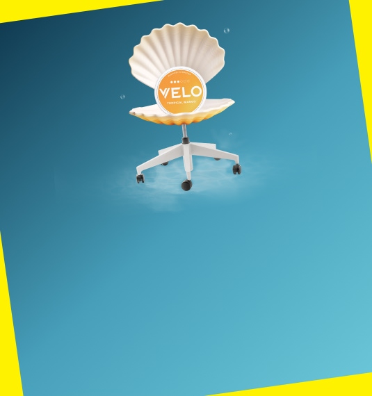 Velo End Of Year   Pop Up