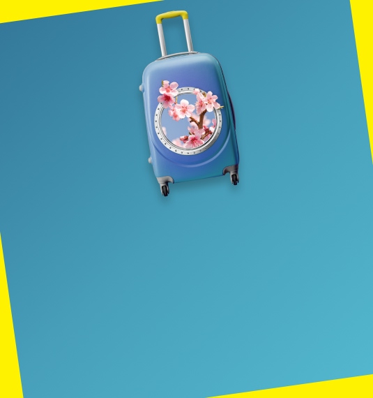 Velo Spring Campaign   Pop Up 1