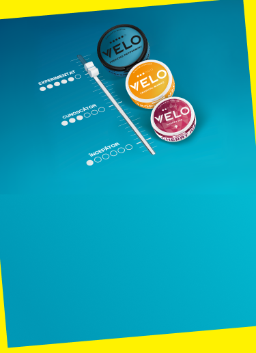 Velo Flavours